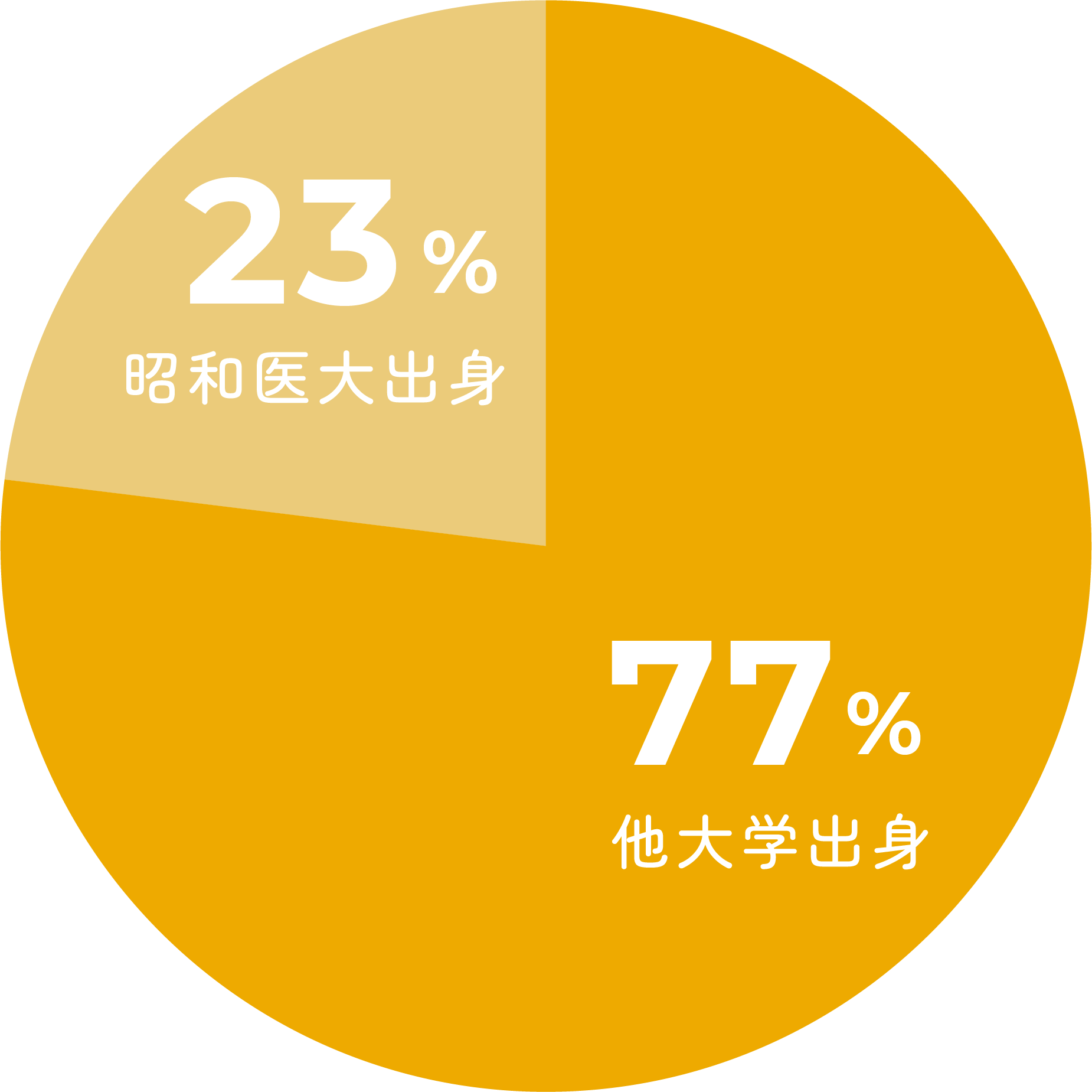昭和医科大学以外の出身者の割合